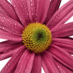 iphone-3gs-wallpaper-05 iphone-3gs-wallpaper-05