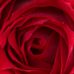 iphone-3gs-wallpaper-07 iphone-3gs-wallpaper-07