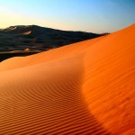 nexusone-desert