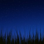 nexusone-grass_night