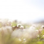 sample_photo_00 sample_photo_00